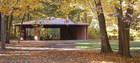 Open-sided pavillion with picnic tables under it, amongst yellow-leaved maple trees