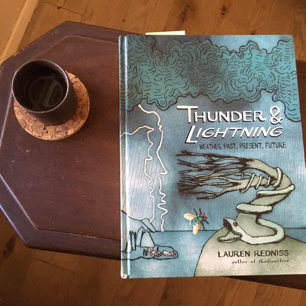 Thunder & Lightning book cover on small table