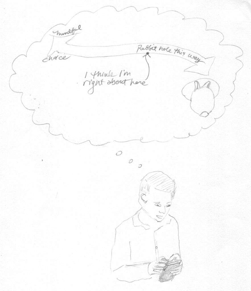 graphic of a teen on smart phone with thought bubble which has continuum with Mindful on left and unconscious on the right and the words Rabbit Hole This Way, and the words I think I'm right about here with an arrow pointing towards the Rabbit hole side 