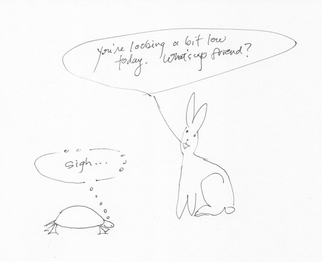 Comic of turtle with thought bubble that says Sigh. Hare says You're looking a bit low today. What's up friend?