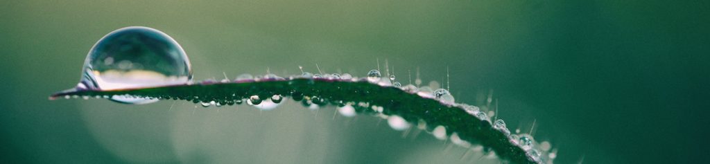 close up photo of droplet of dew on a leave of grass