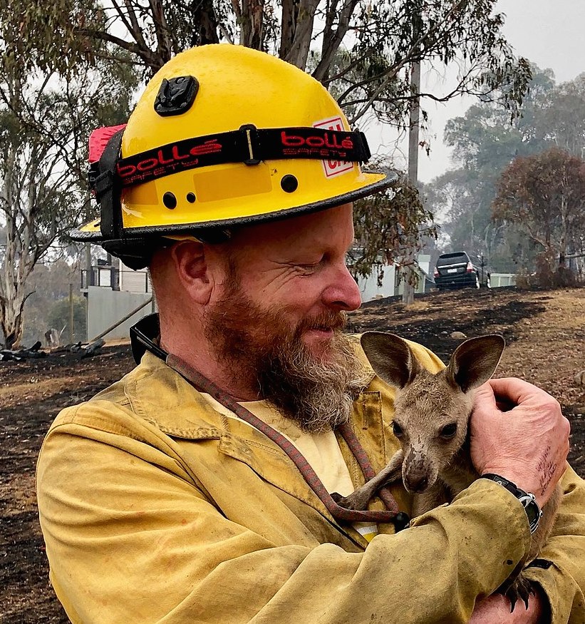 Fire Captain Dave Soldanvini holding rescued baby kangaroo