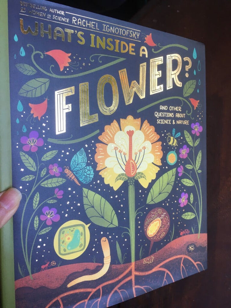 Cover of What's Inside A Flower by Rachel Ignotovsky