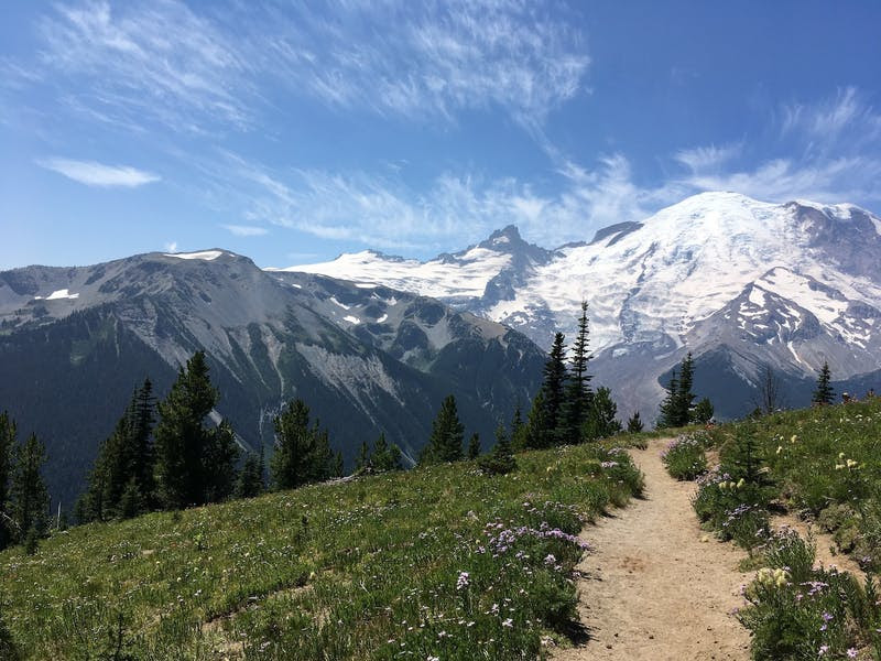 High altitude dirt path with snow-capped mountains in background